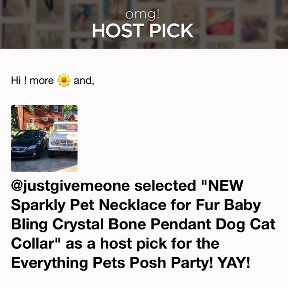 Sparkly Pet Necklace for Fur Baby - Picture 3 of 8